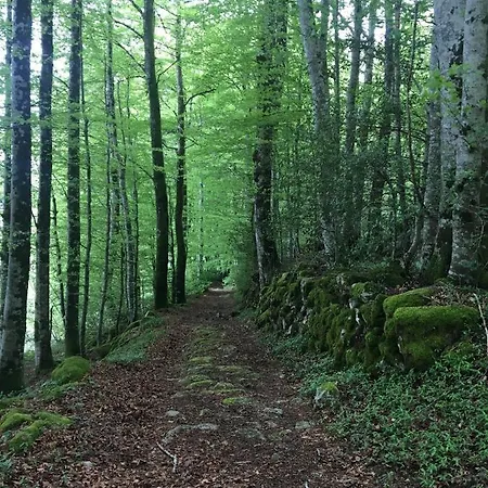Le Logis De Josephine Vila Nages
